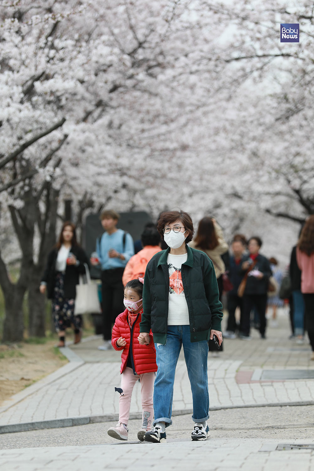 미세먼지 마스크를 쓴 시민들이 3일 오후 서울 여의도 한강공원에서 활짝 핀 벚꽃을 구경하고 있다. 최대성 기자 ⓒ베이비뉴스