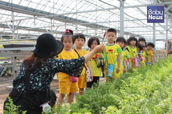 서울시 강서구는 어린이 농촌체험프로그램 힐링농업체험학습에 참가할 단체를 오는 12일까지 선착순으로 모집한다고 밝혔다. ⓒ강서구청