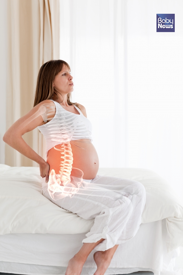 허리뼈(요추)는 원래 부드럽게 꺾인 곡선을 그리고 있지만, 임신 중에는 훨씬 더 많이 뒤로 꺾이게 되어 요통이 생기기 쉽다 ⓒ베이비뉴스