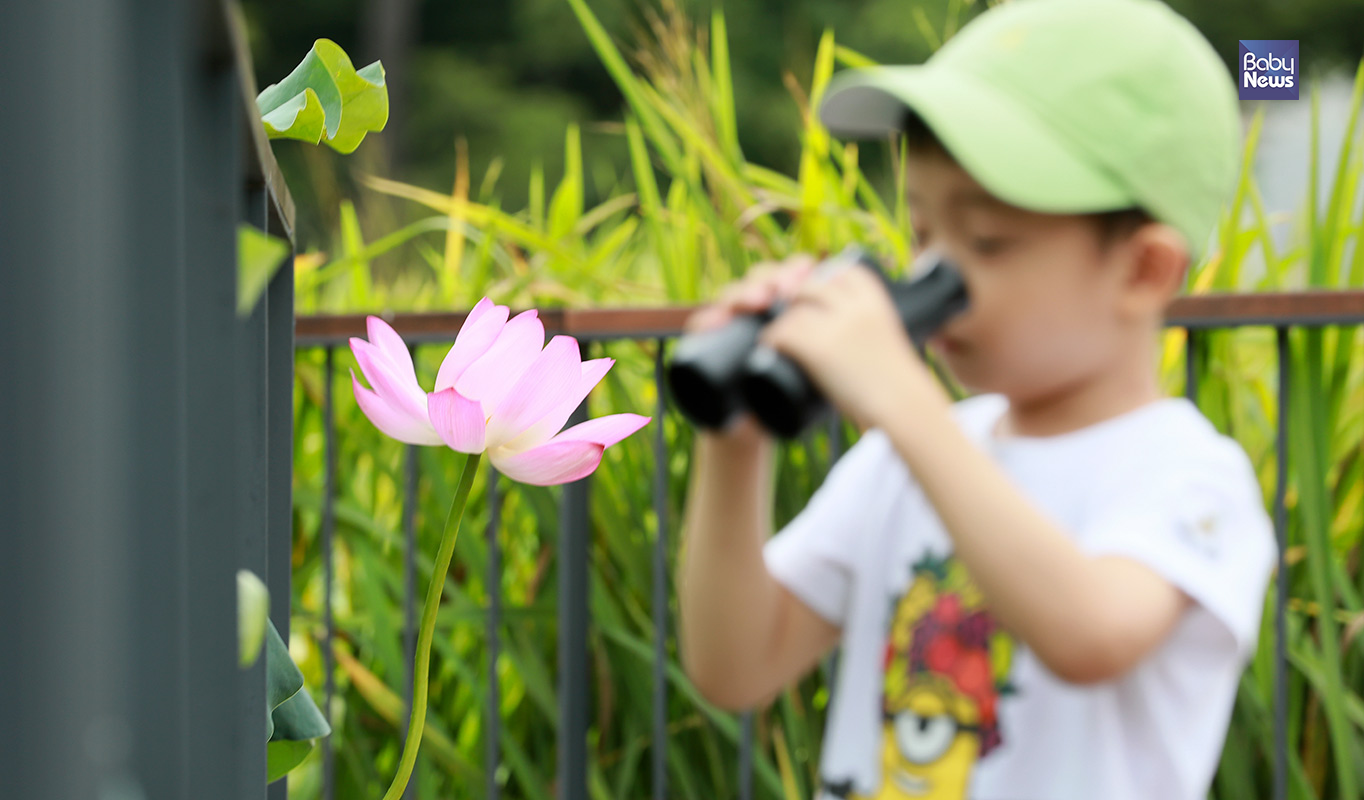 한 아이가 21일 오후 서울 능동 어린이대공원 환경연못을 찾아 쌍안경으로 연꽃을 구경하고 있다. 최대성 기자 ⓒ베이비뉴스