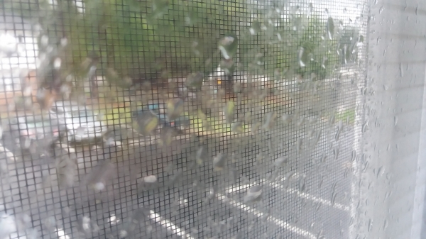 내다보기도 힘든 창 밖: 허리케인 플로렌스의 영향으로 강한 비가 내리고 있다.
