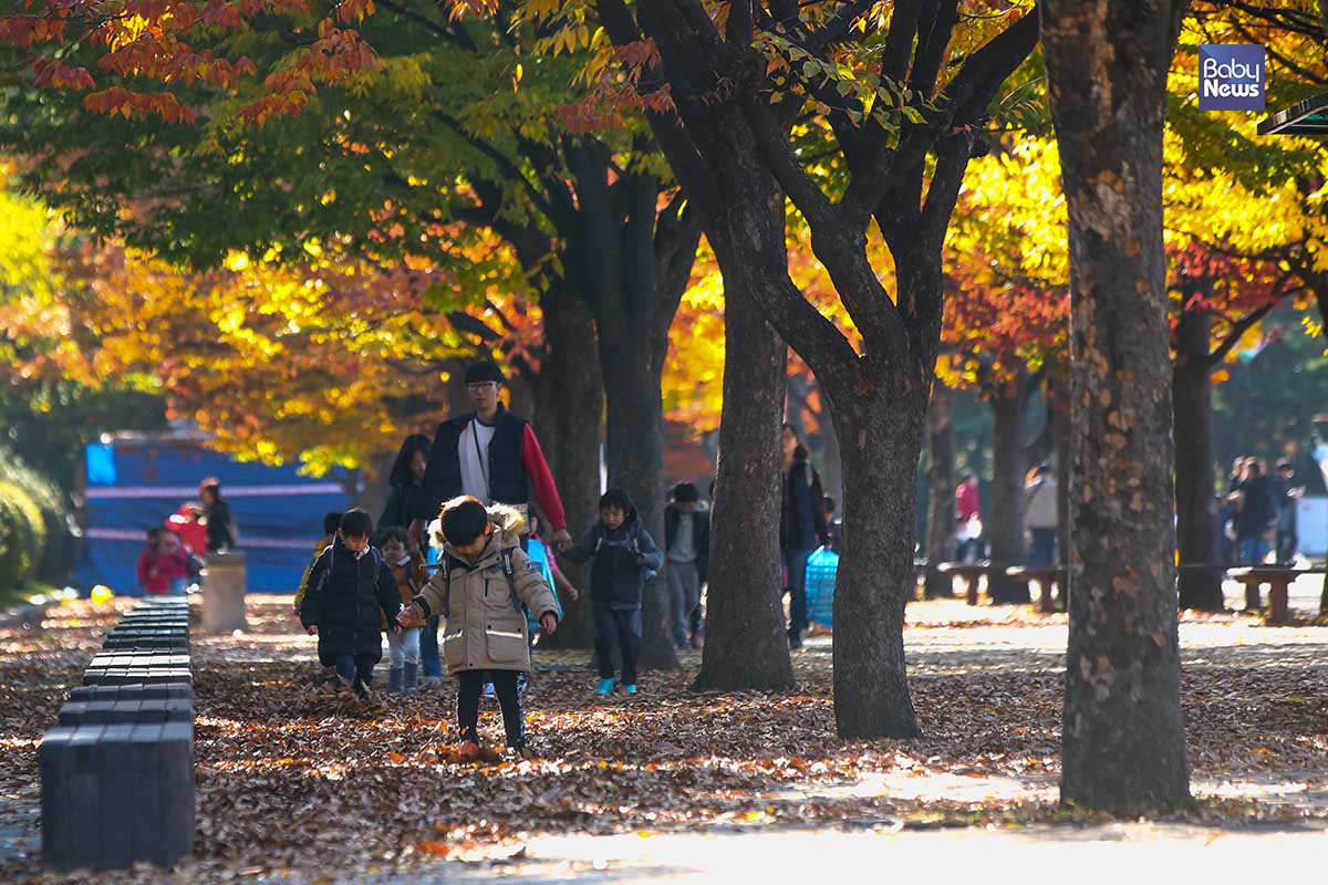 가을을 대표하는 낙엽들 위에서 아이들이 사뿐사뿐 걸어가고 있다. 바닥에 떨어져 있는 낙엽이 겨울이 오고 있음을 느끼게 한다. 김재호 기자 ⓒ베이비뉴스