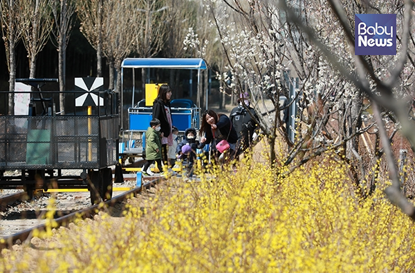 꽃샘추위가 이어진 2일 오전 서울 경춘선숲길공원을 찾은 아이들과 선생님들이 무리 지어 피어난 개나리를 보며 즐거워하고 있다. 최대성 기자 ⓒ베이비뉴스