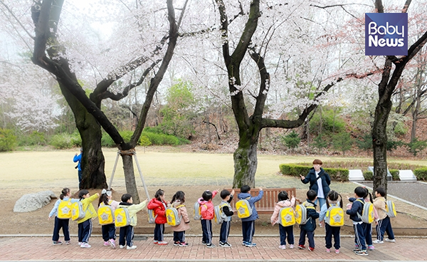 봄비가 그친 10일 오후 서울 어린이대공원을 찾은 아이들이 만개한 벚꽃 아래에서 선생님과 가위바위보 놀이를 하고 있다. 최대성 기자 ⓒ베이비뉴스