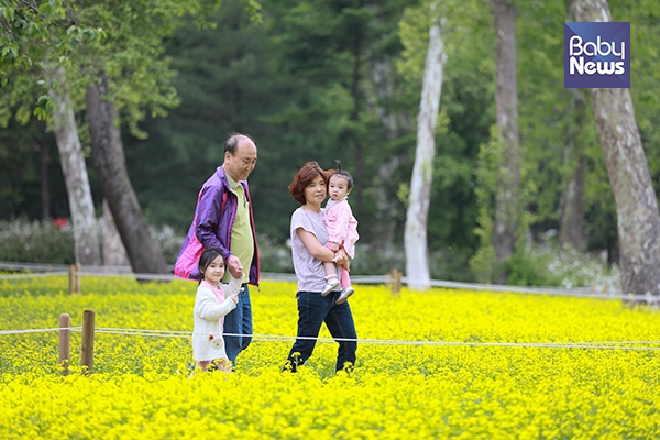 13일 오후 서울 광진구 능동 어린이대공원을 찾은 할머니 할아버지가 손주들과 함께 유채꽃밭을 거닐고 있다. 최대성 기자 ⓒ베이비뉴스
