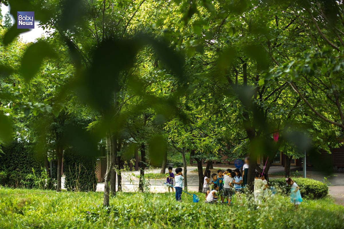 폭염 절정, 서울 한낮 37도의 뜨거운 날씨속에 아이들이 공원에서 곤충채집을 하면서 더위를 잊고 있다. 김재호 기자 ⓒ베이비뉴스