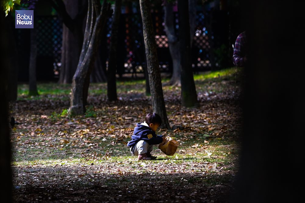 일부 지역은 영하까지 날씨가 떨어져 벌써 겨울이 다가옴을 느낄 수 있었던 28일 양재시민의 숲에서 한 아이가 낙엽을 줍고 있다. 김재호 기자 ⓒ베이비뉴스