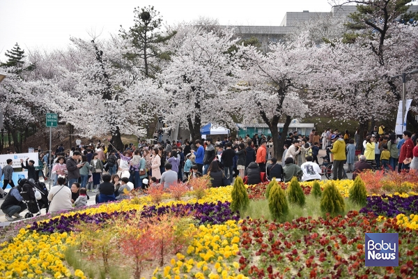 2019년 봄꽃축제 사진. ⓒ경기도