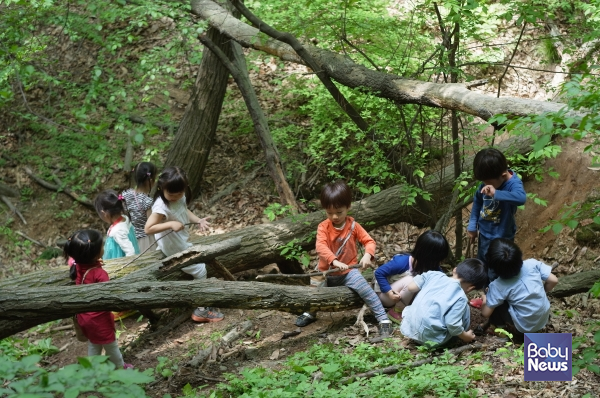 현장 학습에서 숲 놀이를 즐기는 아이들. ⓒ공동육아와공동체교육