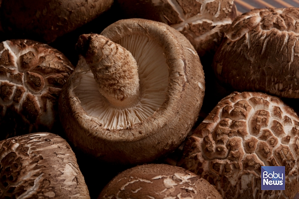 표고버섯은 탄수화물, 단백질은 물론이고 비타민 D의 전구체인 에르고스테롤(Ergosterol) 또한 풍부하게 들어 있다. ⓒ베이비뉴스