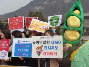 식약처, ‘GMO 비의도적 혼입허용비율 줄이겠다’ 조항 삭제