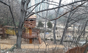 도봉구 창동 초안산에 서울시 최초 '모험놀이터' 탄생