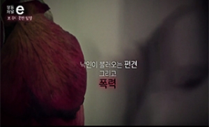 젠더폭력 예방 영상 'EBS 평등채널e' 3부작 방송
