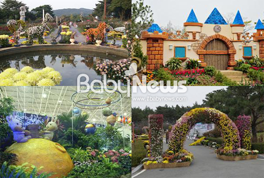 서울동물원이 개원 102주년을 기념해 가을꽃 축제, 동물나라 특별체험 등의 이벤트를 준비했다. ⓒ서울동물원