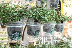 '2012 저탄소 녹색성장 박람회'에 장식된 조형물로 커피전문점의 일회용 컵을 재활용해 수경화분으로 활용해 꾸몄다. 신세연 기자 ssy@ibabynews.com ⓒ베이비뉴스