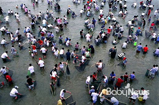 오는 27일부터 다음 달 3일까지 경북 봉화군 봉화읍에 위치한 봉화읍체육공원에서는 살아있는 은어를 직접 보고 만질 수 있는 '2013 봉화은어축제'가 열린다. ⓒ봉화군