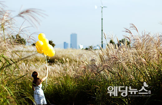 억새축제를 하루 앞둔 17일 오후 서울 마포구 상암동 하늘공원에서 한 신랑 신부가 노란색 풍선을 들고 입을 맞추며 웨딩촬영을 하고 있다. 이기태 기자 likitae@ibabynews.com ⓒ베이비뉴스