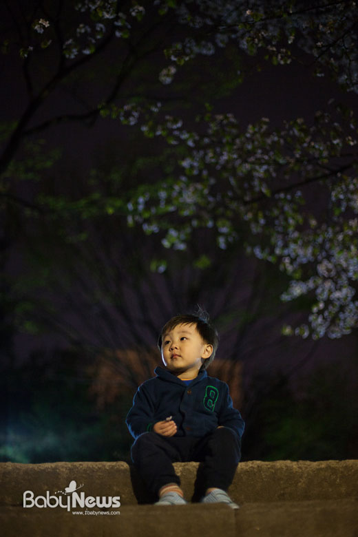이 사진은 2012년 4월 중순의 어느 늦은 밤 놀자와 벚꽃 구경을 나와서 찍은 것이다. ⓒ양희석