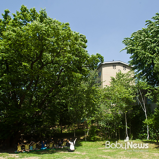 서울 종로구 평창동 종로생명숲어린이집 만 5세반 아이들이 세로토닌 키즈 프로그램에 참여해 나무 그늘에서 명상을 하고 있다. 이기태 기자 likitae@ibabynews.com ⓒ베이비뉴스