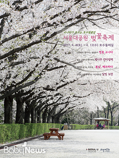 따스한 봄바람 사이로 벚꽃 피어나는 4월, 서울대공원 벚꽃축제의 아름다운 이야기가 시작된다. 축제는 4월 8일부터 4월 12일까지 5일간 호수둘레길에서 진행된다. ⓒ서울시