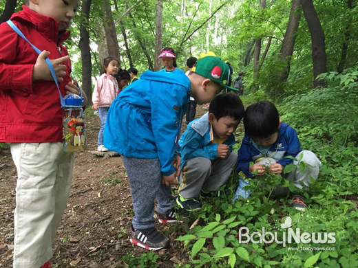 우면산 내 유아숲체험원에서 어린이들이 ‘야생화 관찰하기’ 체험을 하고 있다. ⓒ서초구