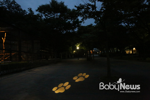 서울대공원은 폭염이 지속되는 무더위 속, 시민들이 시원하게 동물원을 관람 할 수 있도록 28일부터 다음달 20일까지 기간 중 금, 토, 일, 광복절 21시까지 야간 개장한다. ⓒ서울대공원