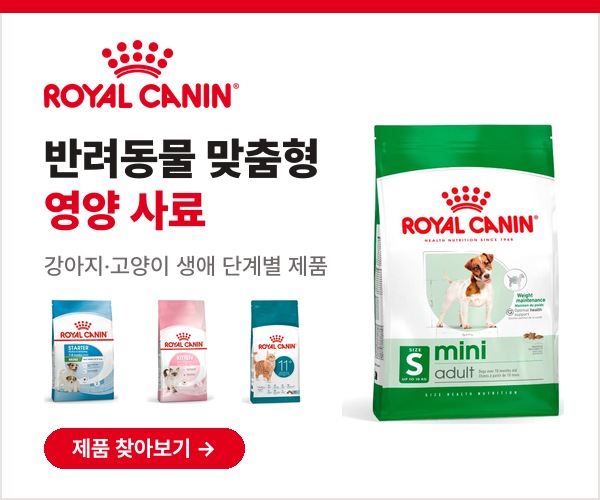 로얄캐닌 광고