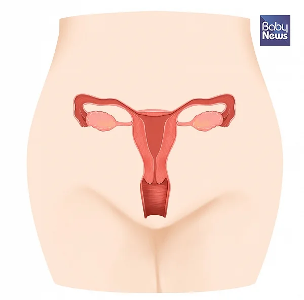 자궁암은 다른 암에 비해 재발율이 높기 때문에 완치 후에도 적극적인 관리를 해야 한다. ⓒ면혁한의원
