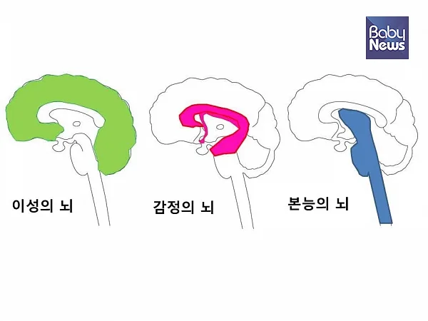 떼쓰기의 기전. ⓒ김영훈
