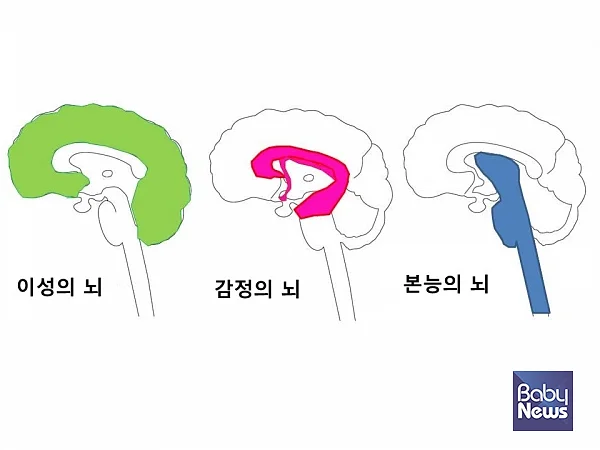 아이의 뇌는 아직 감정을 조절할 준비가 되지 않았다. 그러므로 부모의 역할이 더욱 중요하다. ⓒ김영훈
