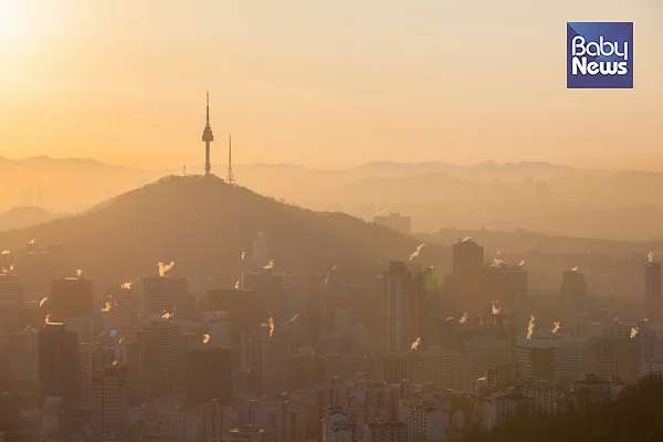 꽃가루 알레르기항원이 미세먼지와의 상호작용을 통해 증상을 악화시킨다 ⓒ베이비뉴스
