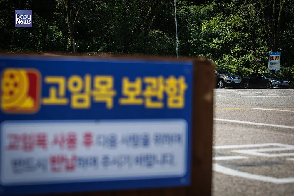 3년 전, 하준이가 사고를 당한 서울랜드 동문 주차장. 차량 미끄럼 방지를 위한 고임목이 곳곳에 비치돼 있지만, 고임목을 갖다 댄 차량은 한 대도 없고, 단속하는 사람도 찾아볼 수 없다. 김재호 기자 ⓒ베이비뉴스