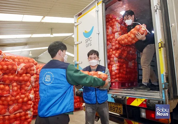 5일 전라남도 무안군 전남서남부채소농협에서 SPC그룹 직원들이 어려움을 겪는 무안 양파 농가를 돕기 위해 양파를 수매해 옮기고 있다. ⓒSPC그룹