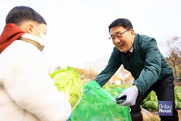 아이와 함께 배추 수확하고 있는 문헌일 구청장. ⓒ구로구