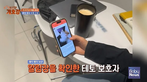 ⓒ키즈노트