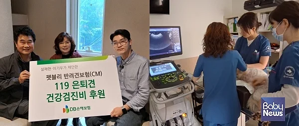 펫 전문 인플루언서 겸 수의사 설채현, 배우 이기우와 함께 119은퇴견 건강검진을 진행했다고 27일 밝혔다.?ⓒDB손해보험
