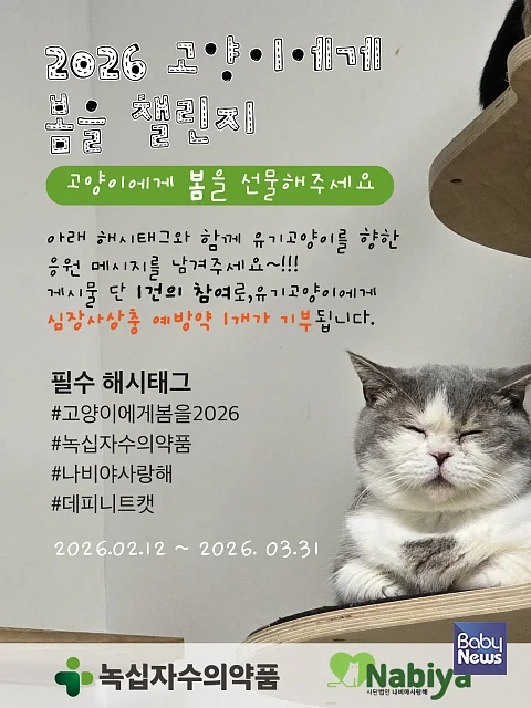 녹십자수의약품, 유기묘 건강권 보호를 위한 기부 캠페인 ‘고양이에게 봄을 2026’ 진행.?ⓒ녹십자수의약품