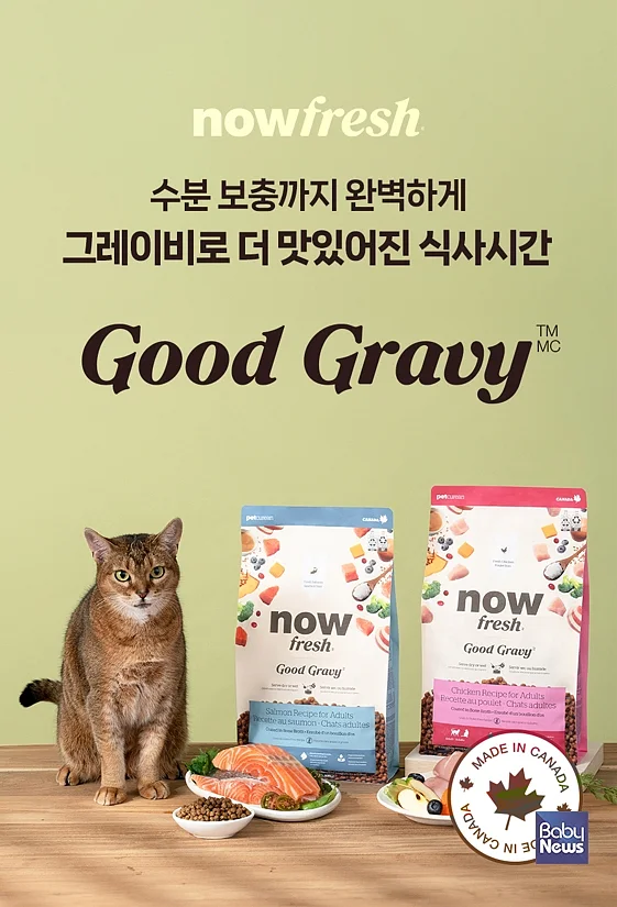 굿그레이비캣.?ⓒ나우프레쉬