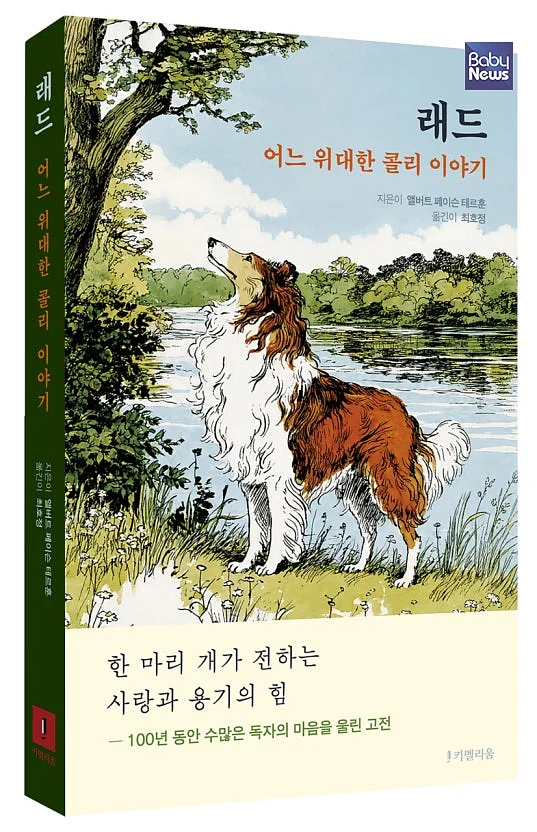 화제의 신간 『래드: 어느 위대한 콜리 이야기(원제 Lad: A Dog)』(펴낸곳 키멜리움, 지은이 앨버트 페이슨 테르훈, 옮긴이 최호정, 16,700원). ⓒ키멜리움