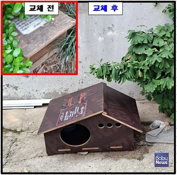 길고양이와 주민이 함께 살아갈 수 있는 환경을 만들기 위해 공공급식소 관리와 중성화수술(TNR), 재개발 지역 내 보호대책 등을 추진하고 있다.?ⓒ동대문구