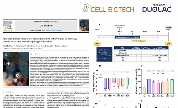 쎌바이오텍 듀오락, CBT 유산균의 만성콩팥병(CKD) 개선 기전 규명.