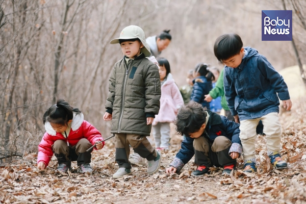14일 오전, 경기 용인시 고기동에 위치한 산내들생태어린이집 5세반 아이들의 올해 첫 숲 활동에 동행했다. 최대성 기자 ⓒ베이비뉴스