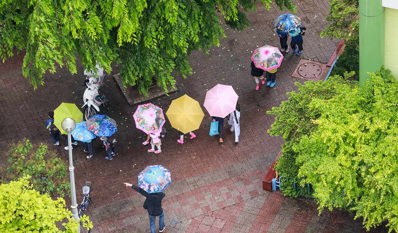 봄비가 내린 2일 오후 서울 노원구 한 아파트 단지 내 어린이집 아이들이 우산을 쓰고 하원하고 있다. 최대성 기자 ⓒ베이비뉴스