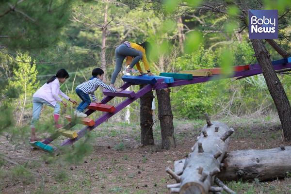 아이들이 28일 오후 강원 홍천군 휘게리홍천하우스 자연놀이터에서 나무로 만들어진 구름다리를 건너고 있다. 최대성 기자 ⓒ베이비뉴스