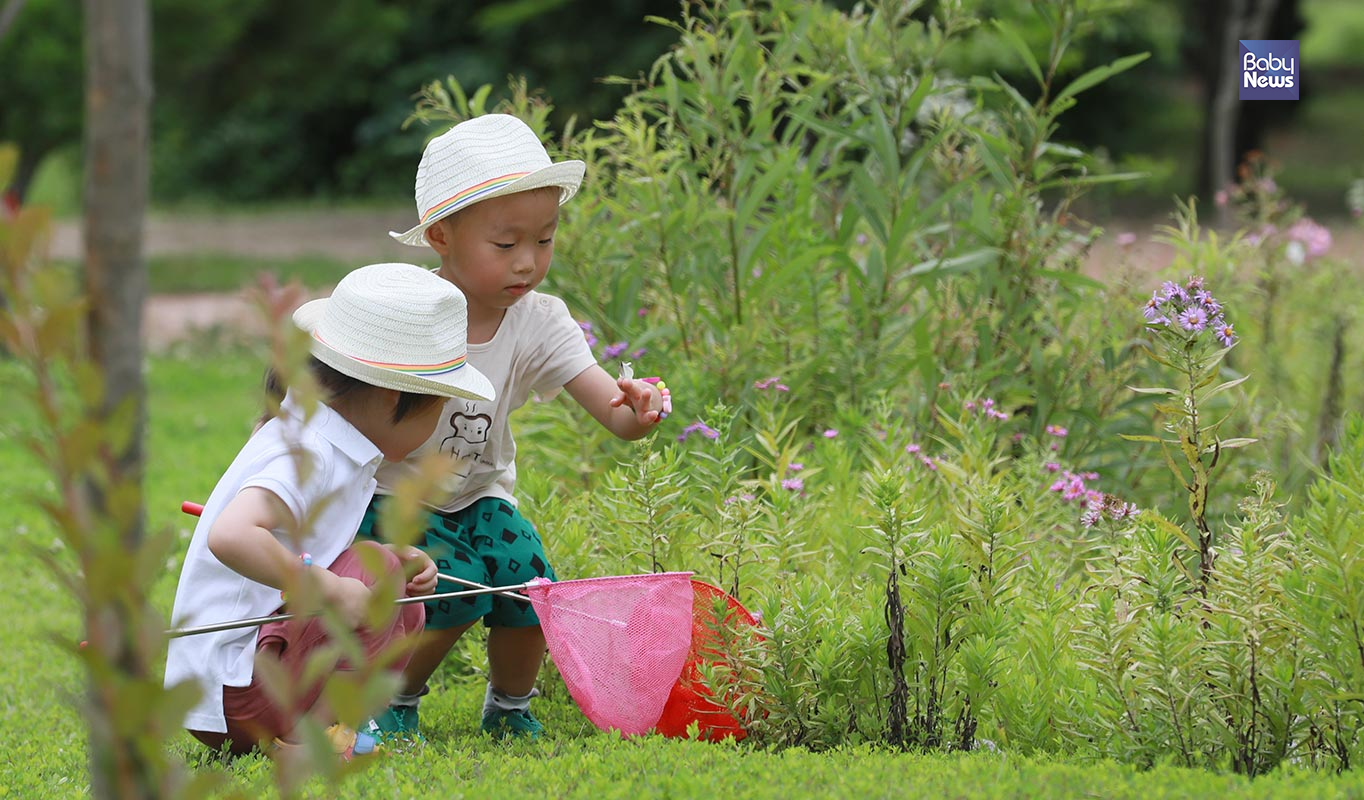 잠자리채를 든 아이들이 3일 오전 서울 강북구 북서울꿈의숲을 찾아 나비를 잡고 있다. 최대성 기자 ⓒ베이비뉴스