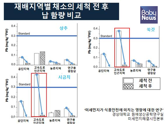 재배지역별 채소의 세척 전후 납 함량 비교. ⓒ경상대학교 원예생산공학연구실&미세먼지해결시민본부
