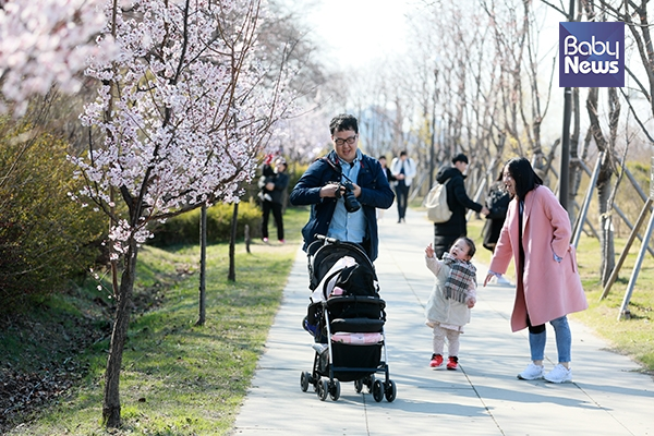 3일 서울 여의도 한강공원 인피니트 숲을 찾은 한 가족이 살구꽃을 배경으로 즐거운 추억을 만들고 있다. 최대성 기자 ⓒ베이비뉴스