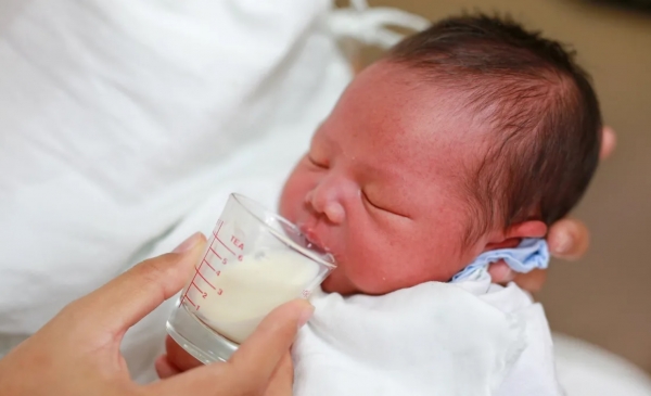 신생아가 컵으로 유축한 모유를 먹는 장면입니다. 아기 입술에 모유 표면이 찰랑거리며 닿을 정도로만 기울여주면 아기가 홀짝홀짝 잘 삼킵니다. (아기 입에 부어 넣는 것이 아님에 주의하세요!)