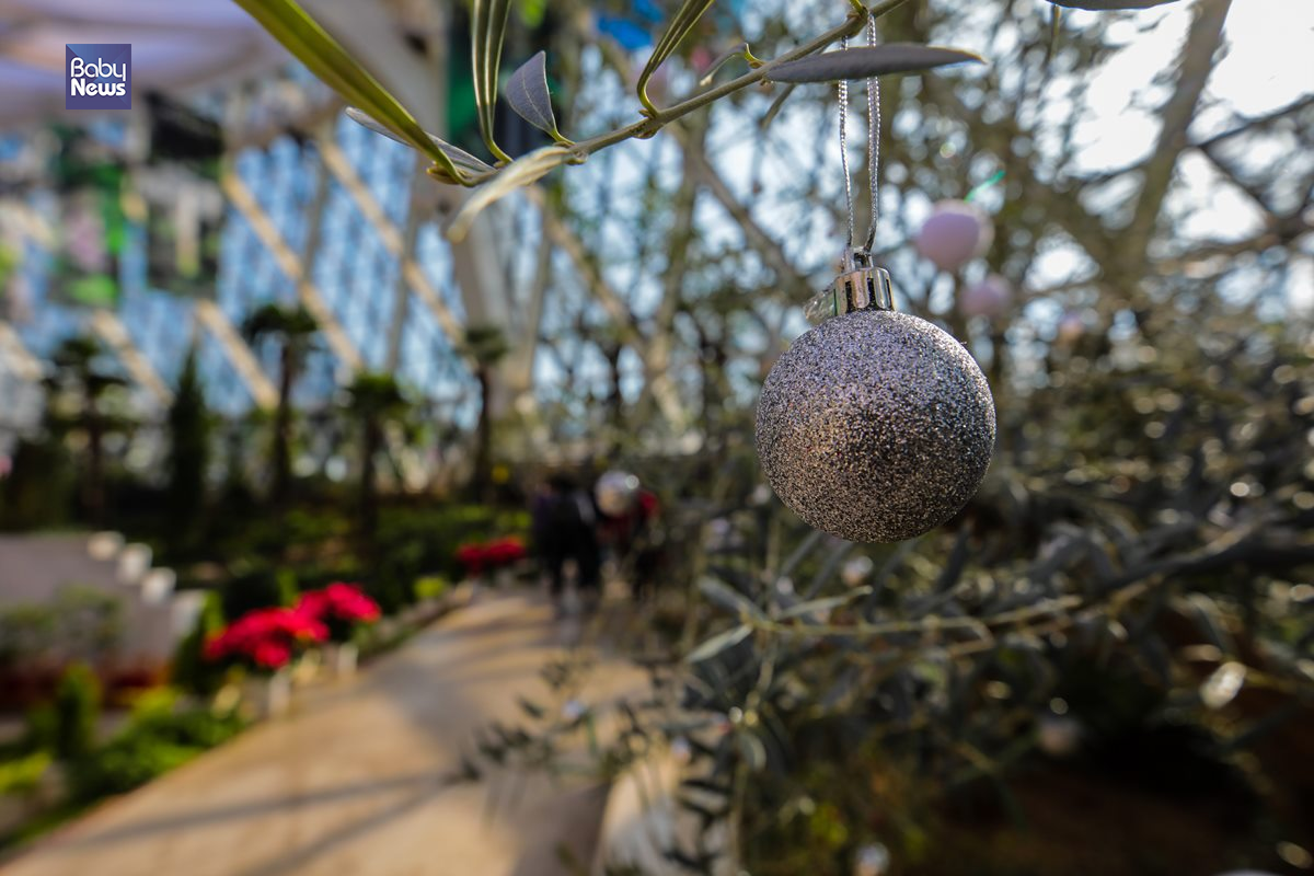 은빛 오너먼트로 장식된 올리브ㆍ대추야자나무가 크리스마스 분위기를 연출하고 있다. 김재호 기자 ⓒ베이비뉴스