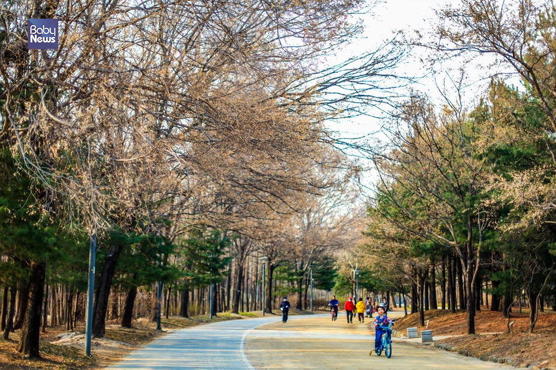 한적한 공원에서의 산책이 우울증 해소에 도움이 된다. 김재호 기자 ⓒ베이비뉴스
